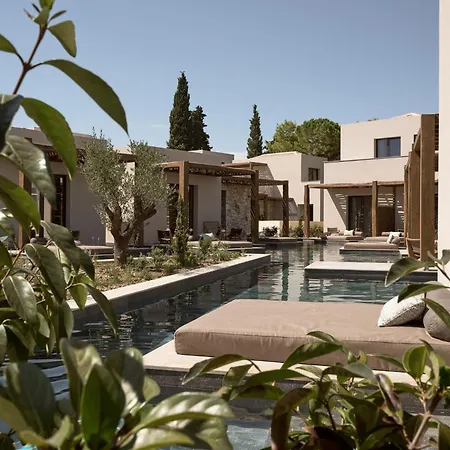 Hotel Pierros Lithakia (Zakynthos)